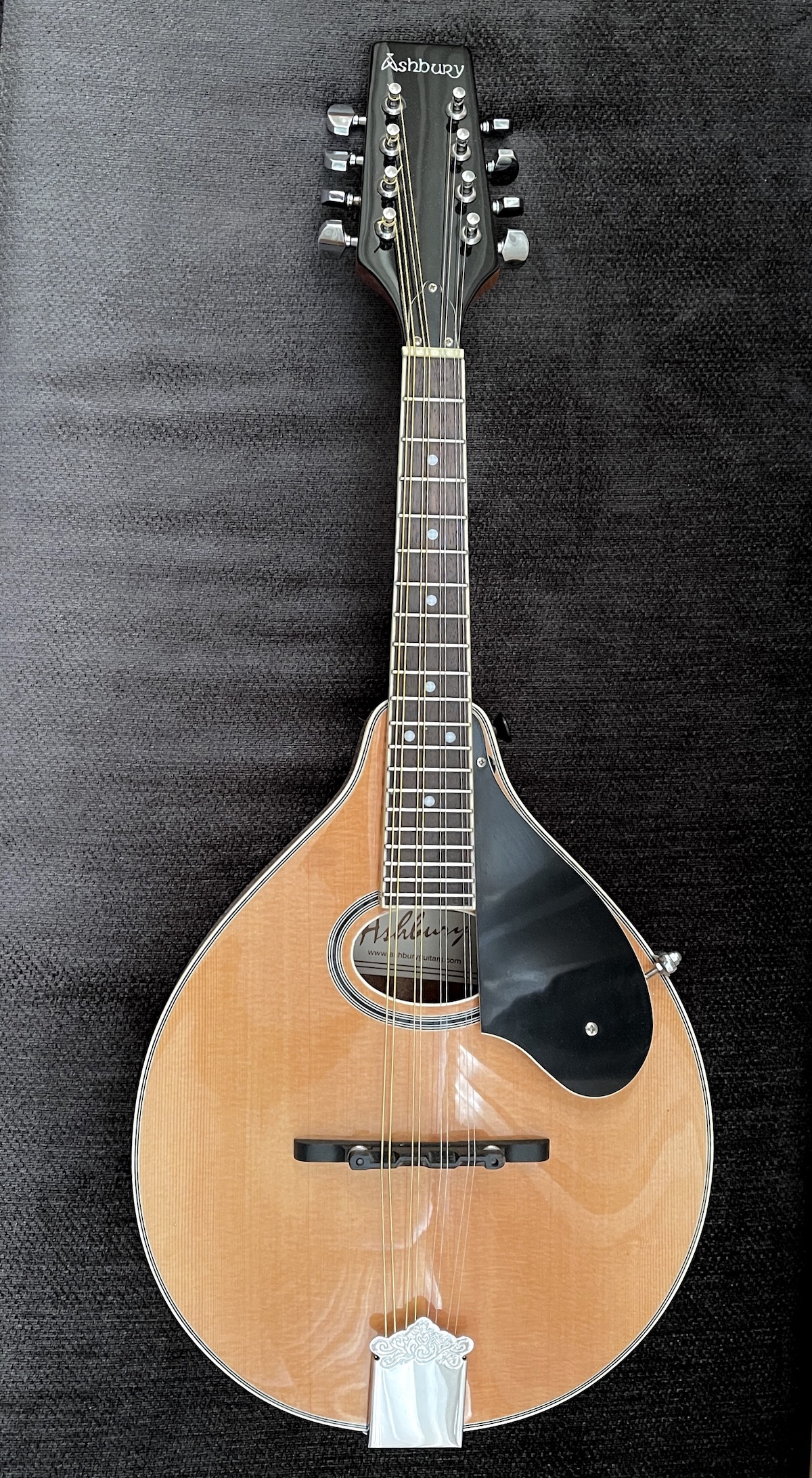 Ashbury Body